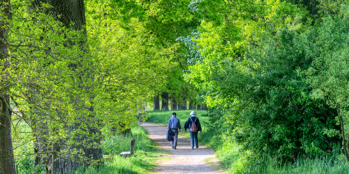 Mutuelle senior après 60 ans : quelles garanties choisir ?